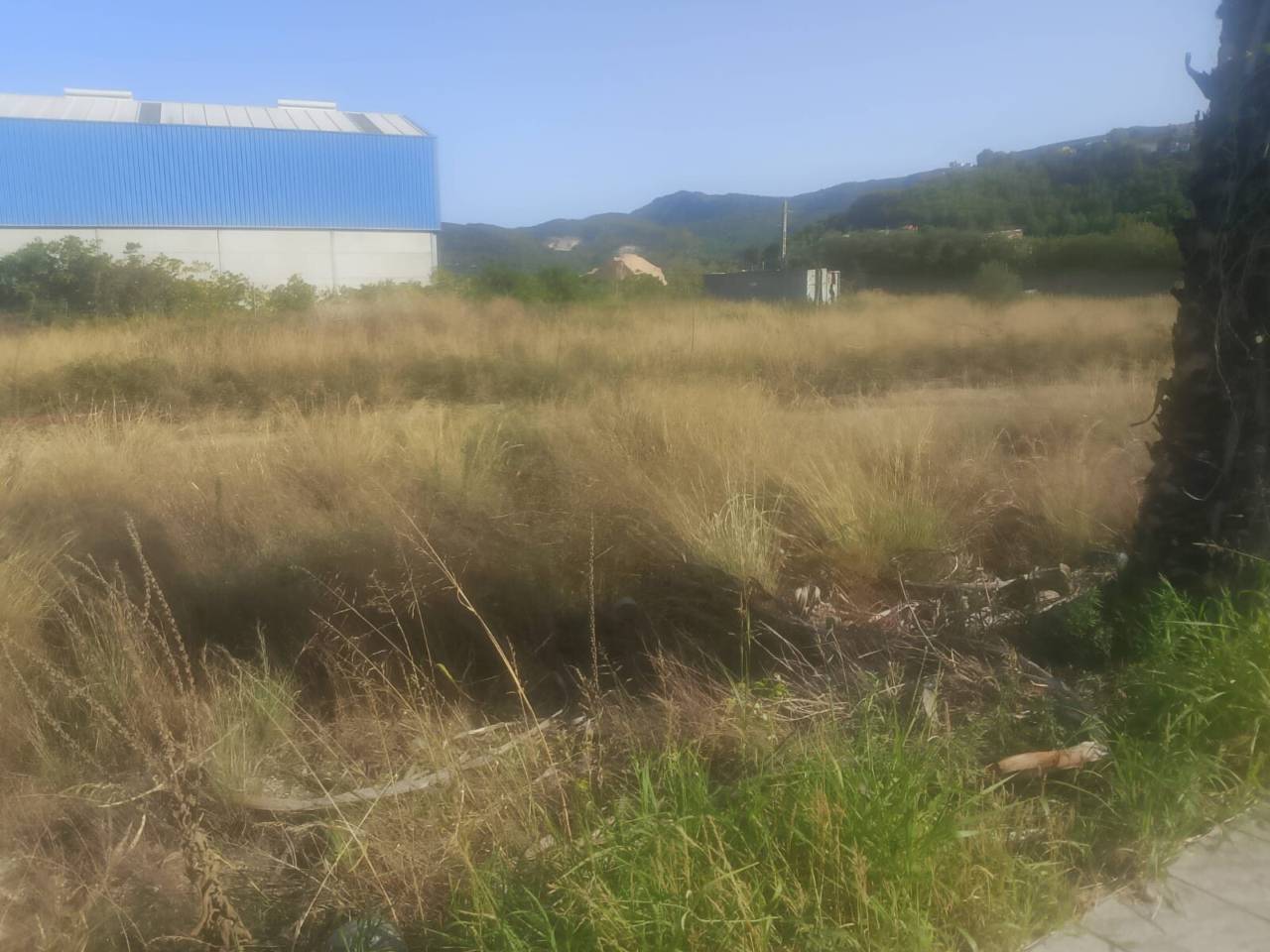terreno-industrial en ador · ador 173690.00€