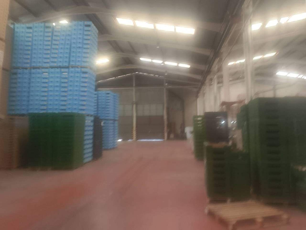 nave-industrial en xeraco · xeraco 1850000.00€