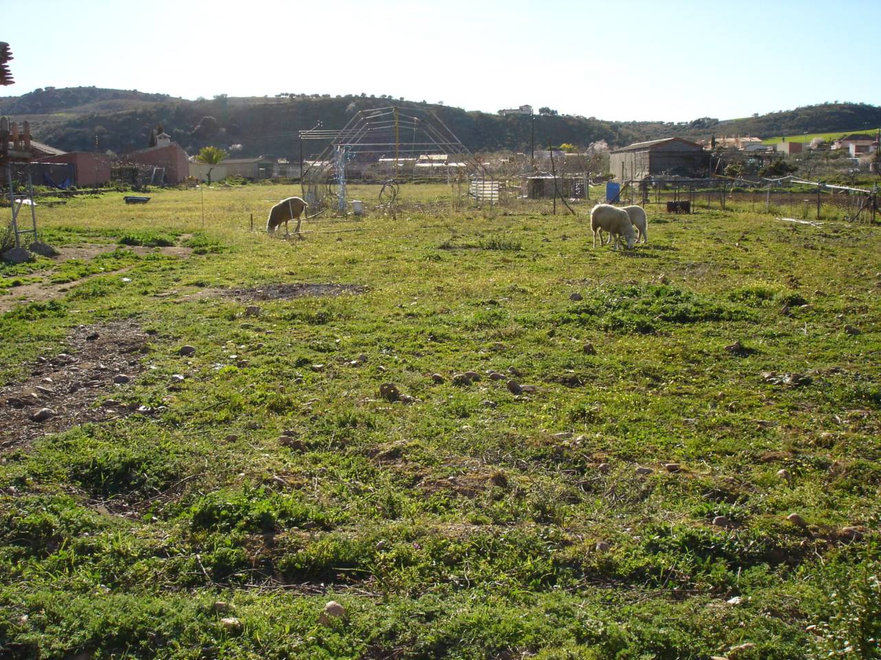 Imagen Vivienda