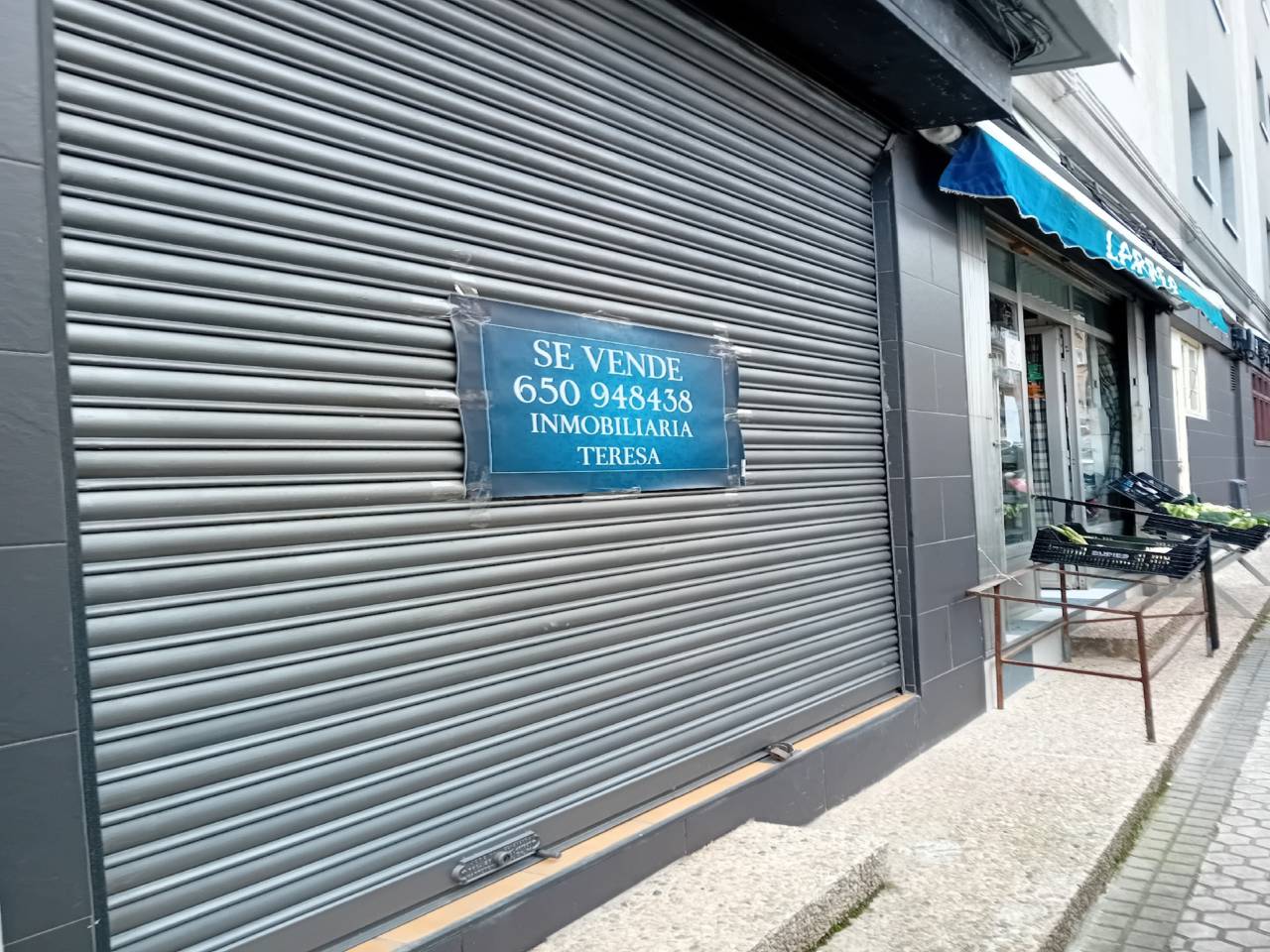 imagen no disponible