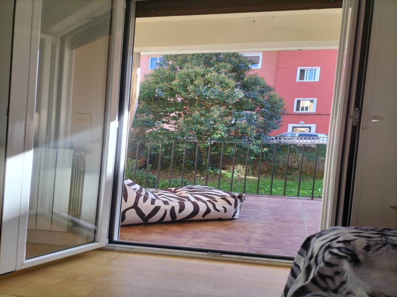 imagen no disponible