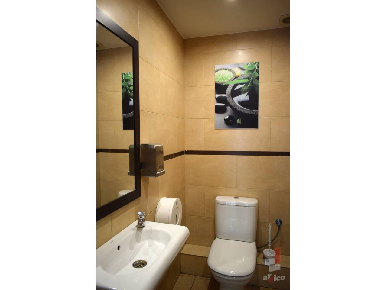 imagen no disponible