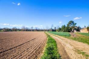 Masia en venta en La Mata (Llagostera) de 2ª mano - 8006