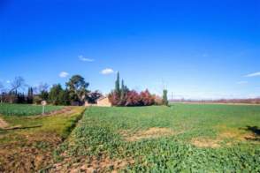 Masia en venta en La Mata (Llagostera) de 2ª mano - 8006