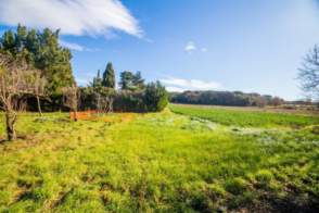 Masia en venta en La Mata (Llagostera) de 2ª mano - 8006