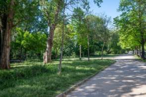 Piso en venta Zona Barri Vell- Hospital Trueta de 2ª mano - 9151