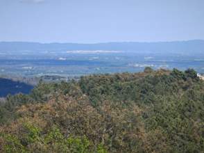 Venta de solar en Riudarenes de nueva construcción - 9236