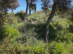 Venta de solar en Riudarenes de nueva construcción - 9236