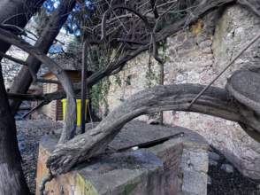 Lloguer casa amb jardí i naturalesa de 2ª mà - 9762