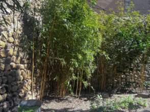 Lloguer casa amb jardí i naturalesa de 2ª mà - 9762