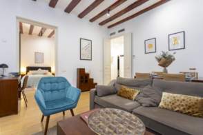 Venta de piso reformado en Barri Vell, Girona Capital de 2ª mano - 9806