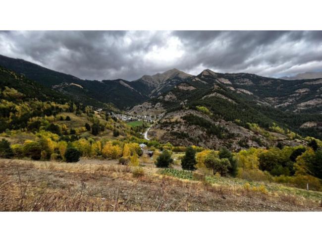 Land for sale in Pal, La Massana · 6 of 8