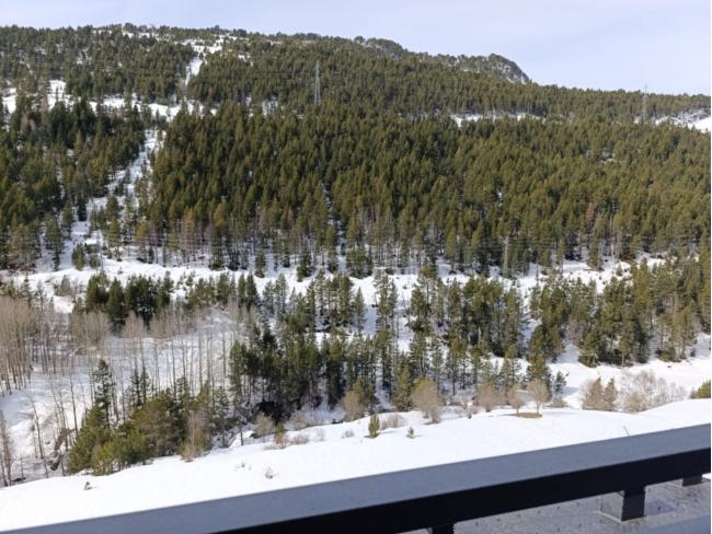 2-bedroom penthouse for sale in Bordes d'Envalira, Canillo · 18 of 60