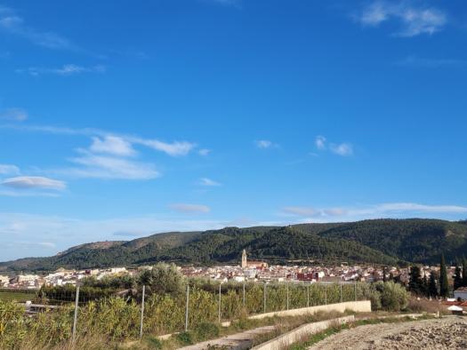 Destacado 0