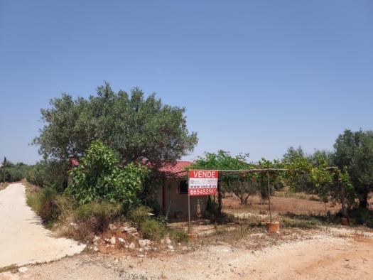 Destacado 0