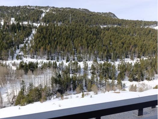 2-bedroom penthouse for sale in Bordes d'Envalira, Canillo · 33 of 60