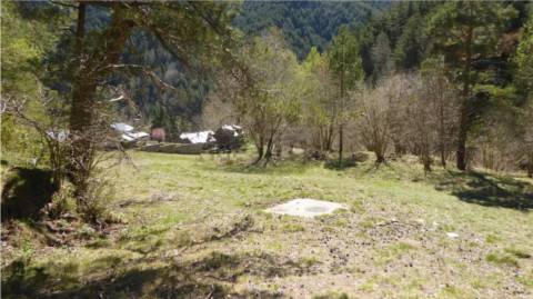 Borda à vendre à Xixerella, La Massana · 4 sur 12