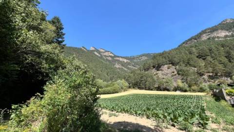 Borda à vendre à Xixerella, La Massana · 5 sur 12