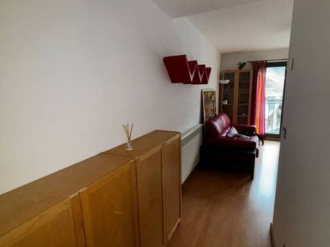 1-bedroom flat seasonal rent in Canillo · 50 of 60