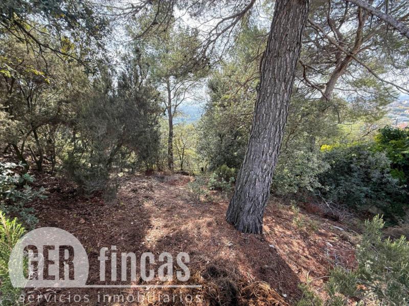 Amplio terreno edificable de 1.536 m² con vistas en Matadepera · Jardín