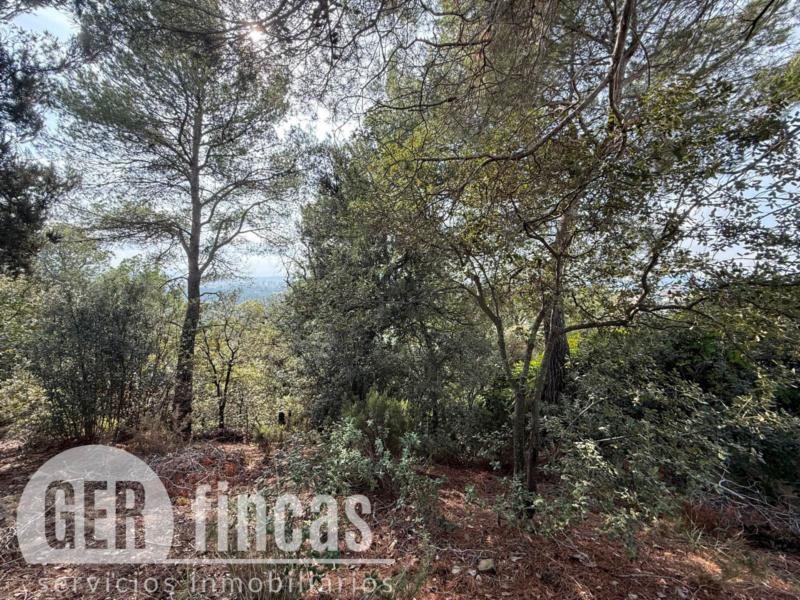 Amplio terreno edificable de 1.536 m² con vistas en Matadepera · Jardín