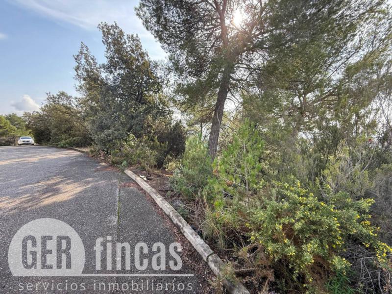 Amplio terreno edificable de 1.536 m² con vistas en Matadepera · Vistas