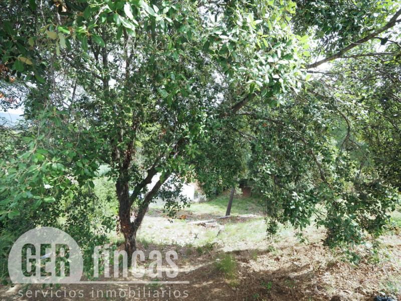 Parcela edificable de 409 m² en Les Martines · Jardín