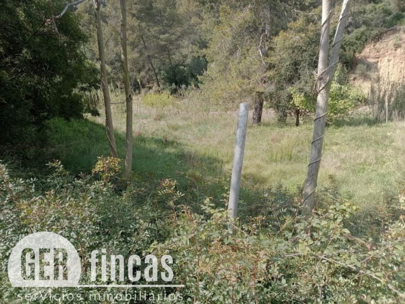 Terreno agrícola · 734 m² · Jardín