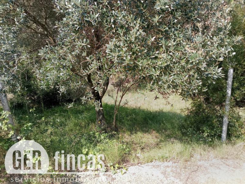 Terreno agrícola · 734 m² · Jardín